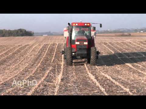 Video: Jesenja obrada tla: uklanjanje korova, rahljenje, đubrenje