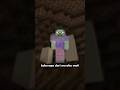 siapakah sebenarnya wither skeleton di minecraft