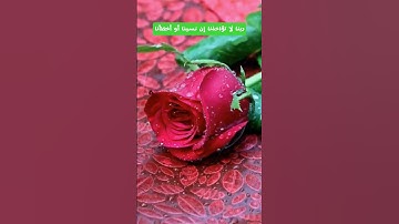 أواخر #سورة_البقرة | #surah_al_baqarah