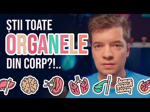 Cea mai AMUZANTĂ explicație pentru organe!