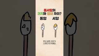귀지와 암내가 관련이 있다고?