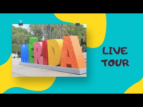 MEXICO LIVE TOUR