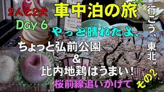 【２人と２犬の車中泊】Day6 ちょっと弘前公園 比内地鶏はうまい　行こう、東北。 桜前線追いかけて〈その2 〉