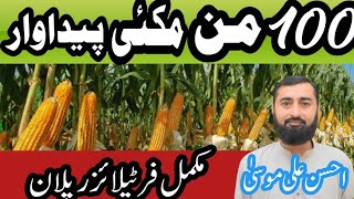 Fertilizer use in Maize crop || How to manage Your maize for super high yield || Ahsan Ali Musa 