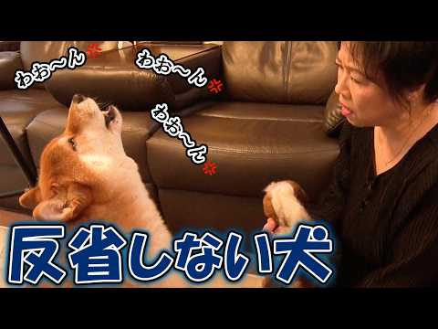 ಕುಡಿಯವರೋ ನಾವು ಕುಡಿಯವರೋ | Kudiyavaro Navu Kudiyavaro | Bombat Basanna | New Janapada Song |MRSU Music