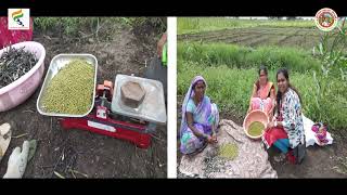 060722 Digital Agriculture English Master