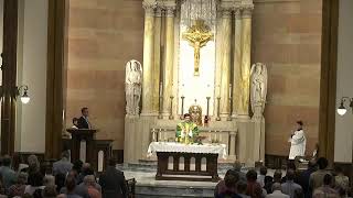 14th Sunday in Ordinary Time, 7/05/2026