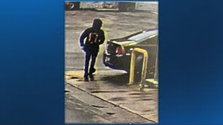 Woman told to pay hundreds to get her stolen car from tow lot; insurance will not help her