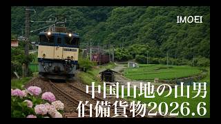 EF64-1000駆ける!伯備貨物2026.6