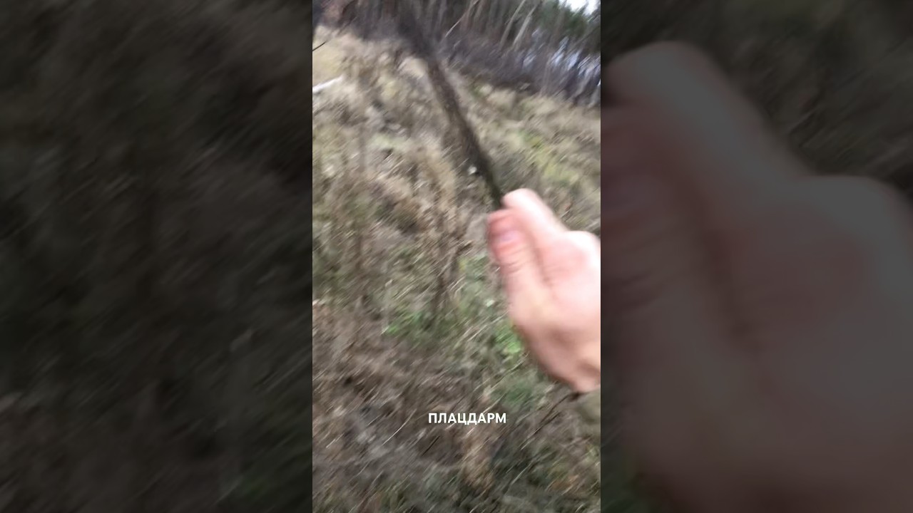 Перевіряємо щупом на запах … 