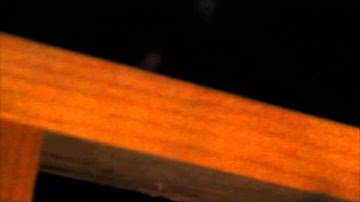 Carpet Python Male-Male Combat September 2014 - Snake catcher Brisbane