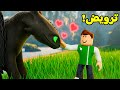 روبلوكس تحدى ترويض التنين المفترس لعبة Roblox روبلوكس تحدى ترويض التنين المفترس لعبة Roblox