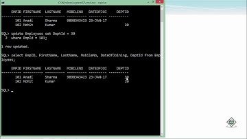 Oracle - SQL - Update Statement