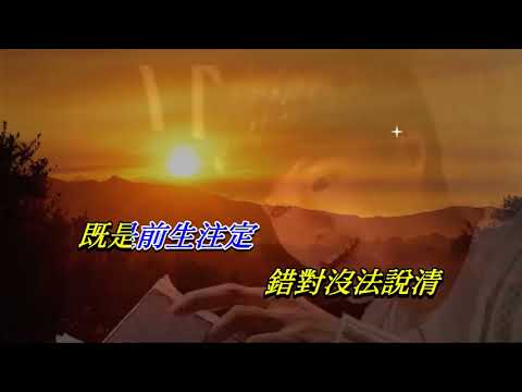 天地不容   胡鴻鈞〈卡拉伴奏版〉