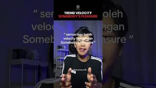 Somebodys Pleasure Velocity Nih azizhedra somebodyspleasure shorts