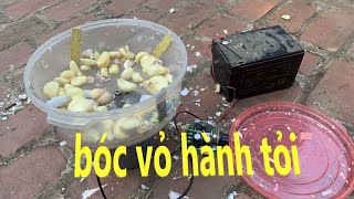 chế máy bóc vỏ hành tỏi từ mô tơ 775 đơn giản