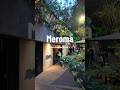 Meroma for pasta in CDMX 🇲🇽