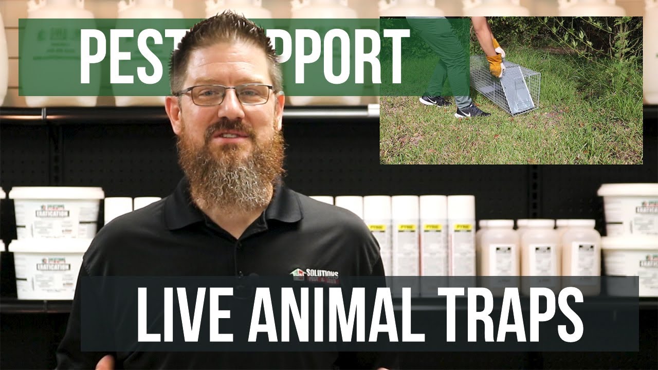 Answer For Small Pests - 16 X 5 X 5 Pro Live Animal Trap