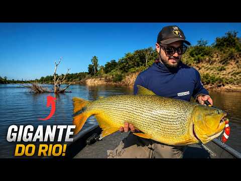 EPIC FISHING with the region's BIG Dourado!