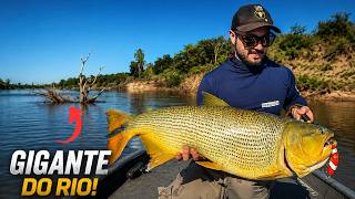 PESCARIA BRUTA com o GRANDE Dourado da região!