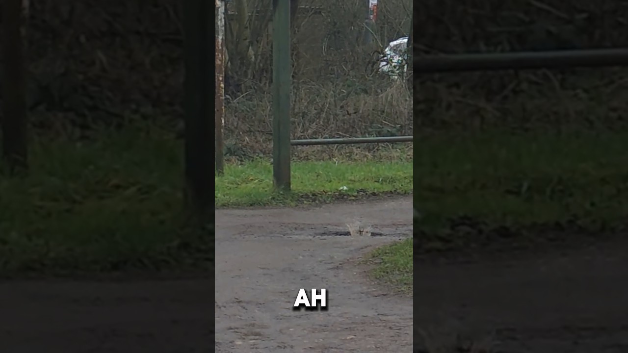 Мы УБИЛИ Air65 II?! 💦 Катастрофа в грязи (режим паники Чубакки)