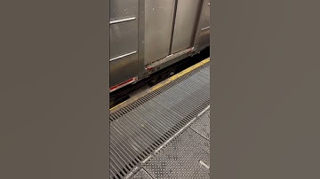 Thumbnail of Moving Platform in NYC Subway 🚊 Union Square Station
