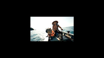 Bà và capybara đi chơi biển #capybara #funny #cartoon