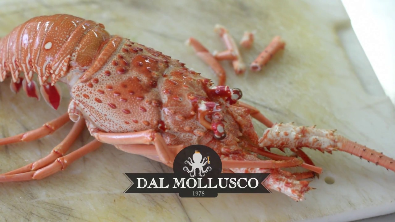 Dal Mollusco, Paccheri all'aragosta YouTube