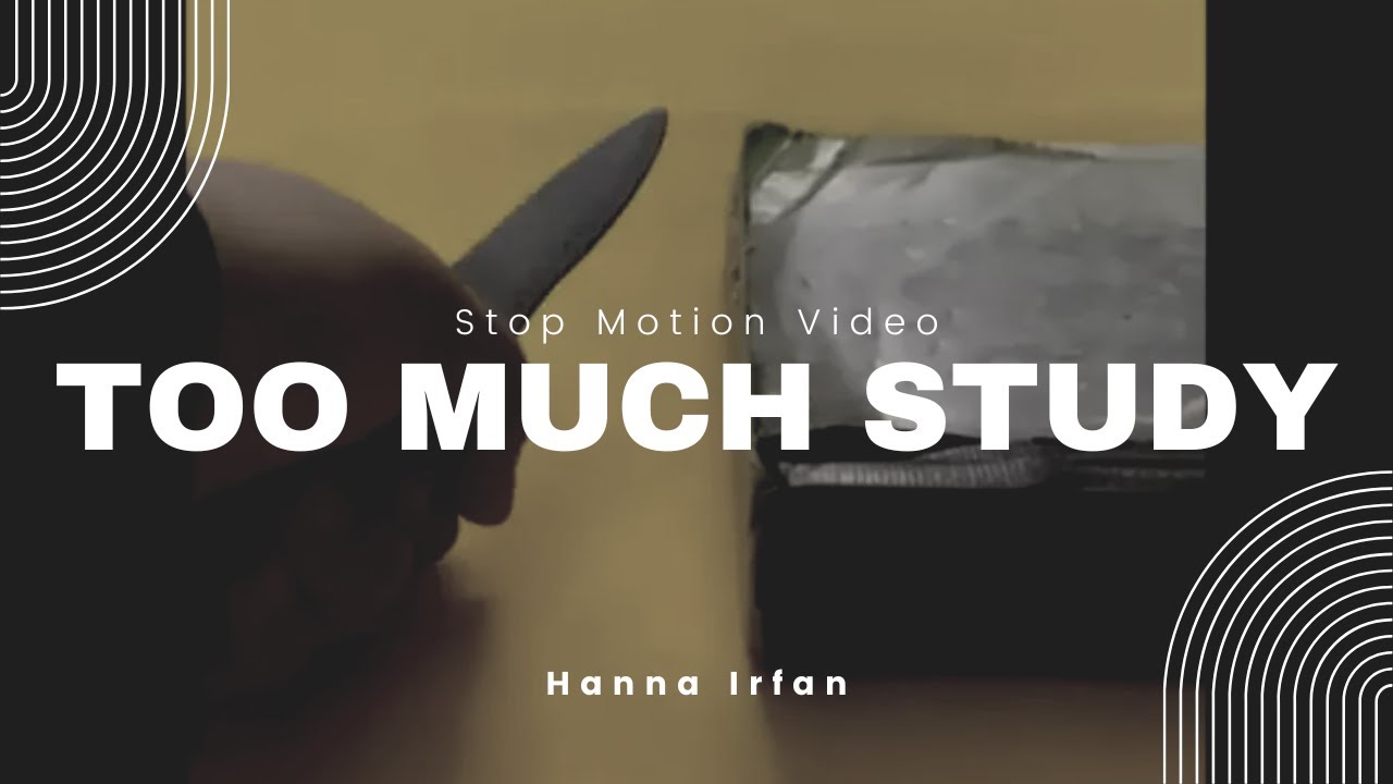 Too Much Study! | Stop Motion Video - YouTube