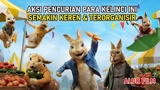 KELINCI-KELINCI INI LEBIH CERDAS DARI MANUSIA | Alur Cerita Film