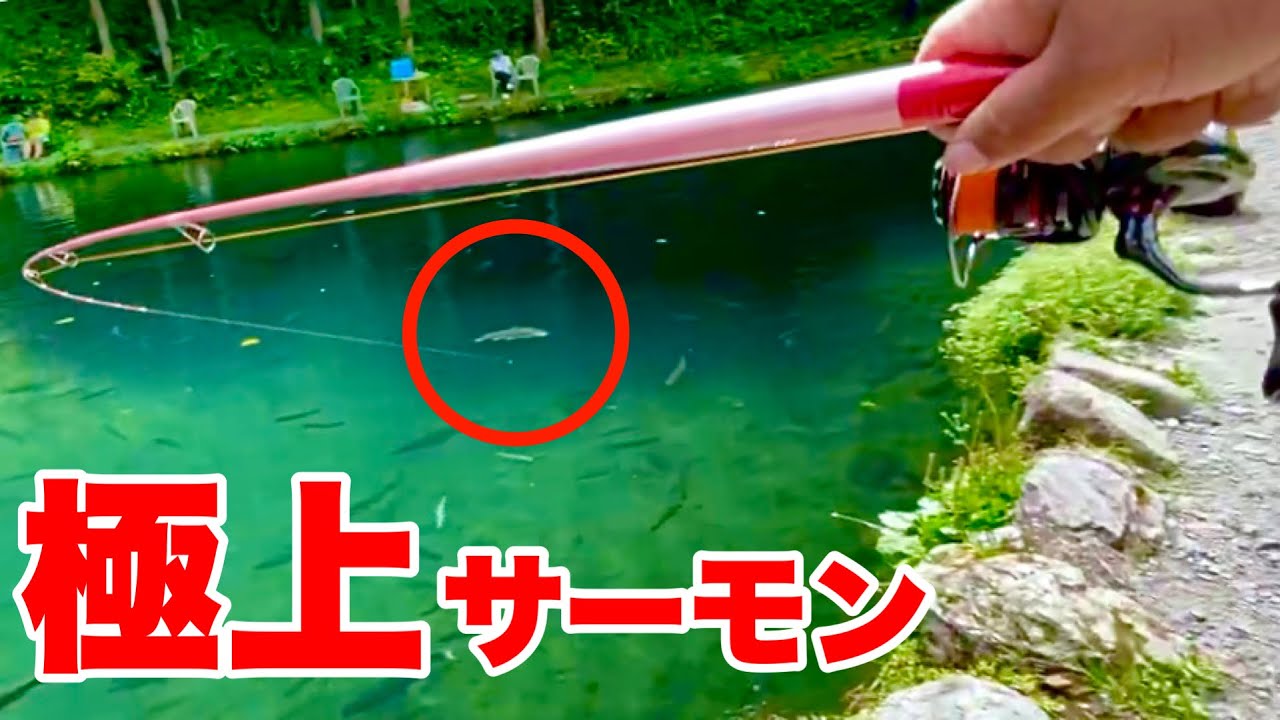 山奥の秘境みたいな釣り場で極上サーモン釣って生で食う