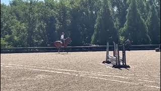 Petey Jumping