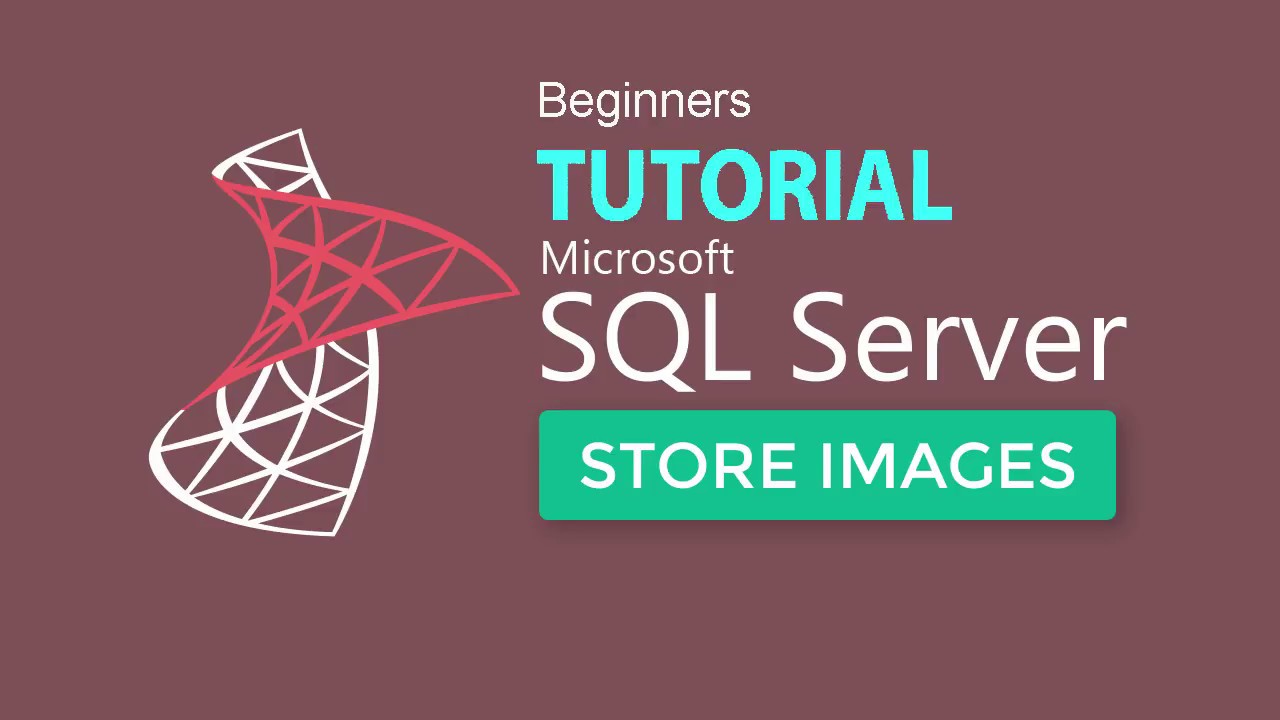 Sql Server 2017 Tutorial 11 : Store Image Files In Sql Database