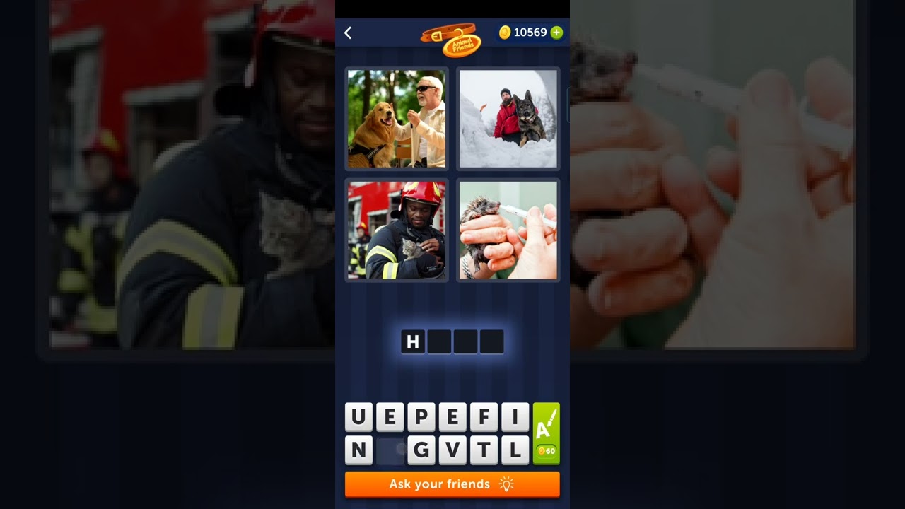 4 Pics 1 Word Daily Bonus Puzzle February 12 2022 Answers | 4 Pics 1 Word Animal friends Answers