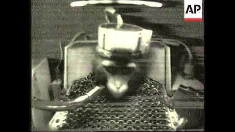 Space - Space monkey