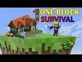 First day in Minecraft ONE BLOCK