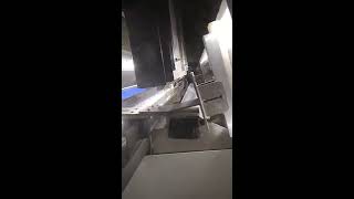 Moong Dal Green Turkish Gram Sorting by Mark IndiaGrain Sorter