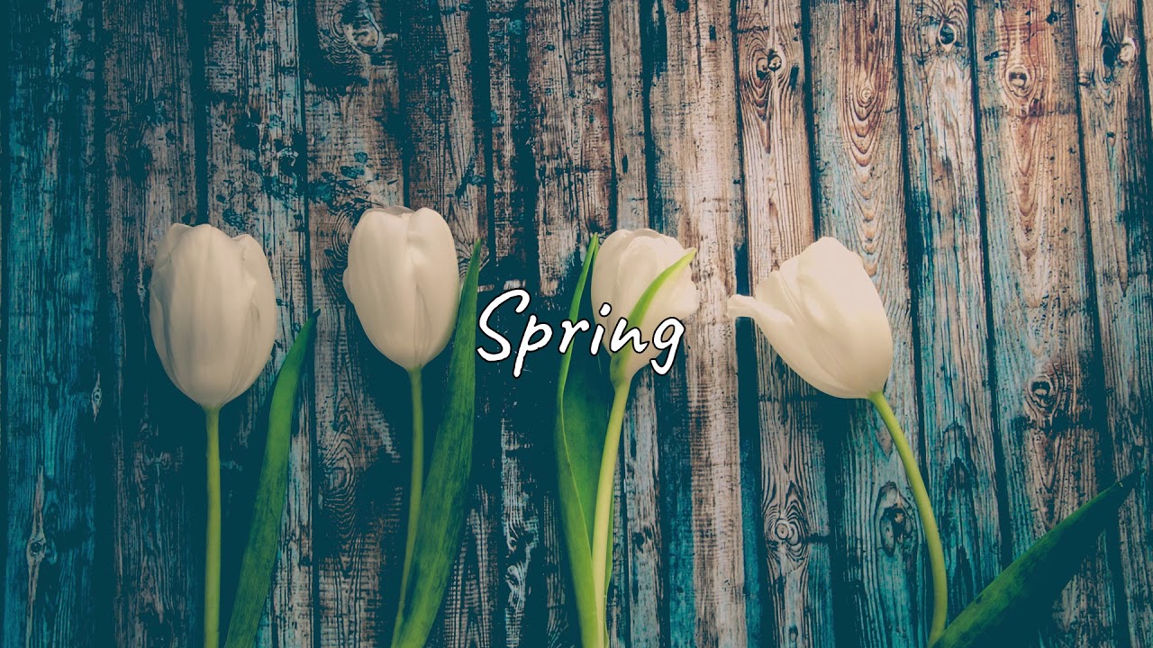 Ikson - Spring (Play Audio - No Copyright Music)