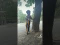 Reflection from Mulan (cover)