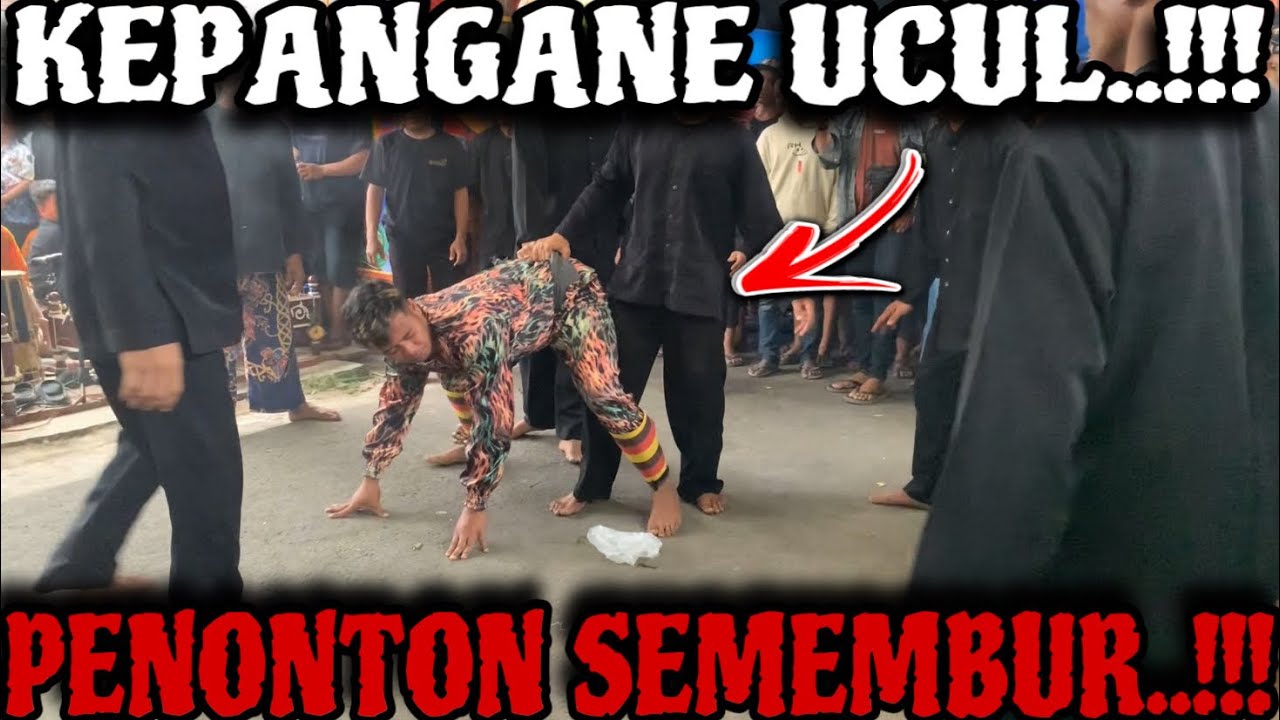 MACAN MACANAN BARONG KEMIREN at KEDALEMAN - KEMIREN - BANYUWANGI