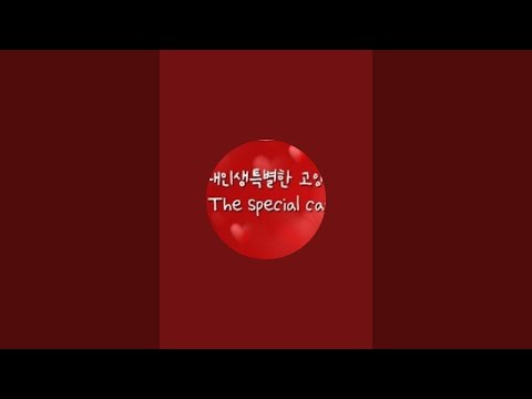 연집사 리얼 스토리 라이브 스트리밍 중