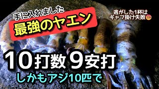 アオリイカ ヤエン釣り 2024年3月23日土曜日 三重県にアオリイカ