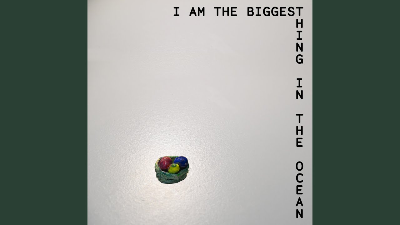 It's Rainy and We Have to Save the Worms