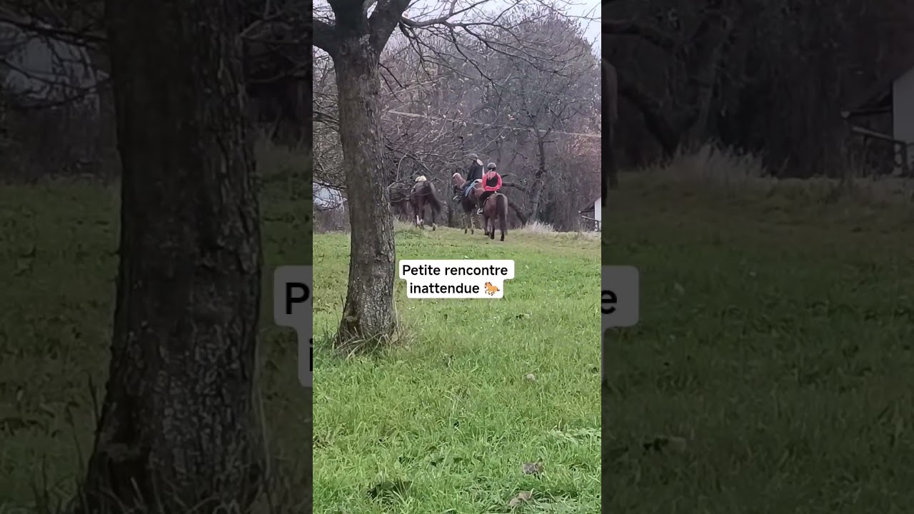 Quand tu croises ça en pleine nature… 😍 #chevaux #cheval #horse #nature #rencontre #voyage
