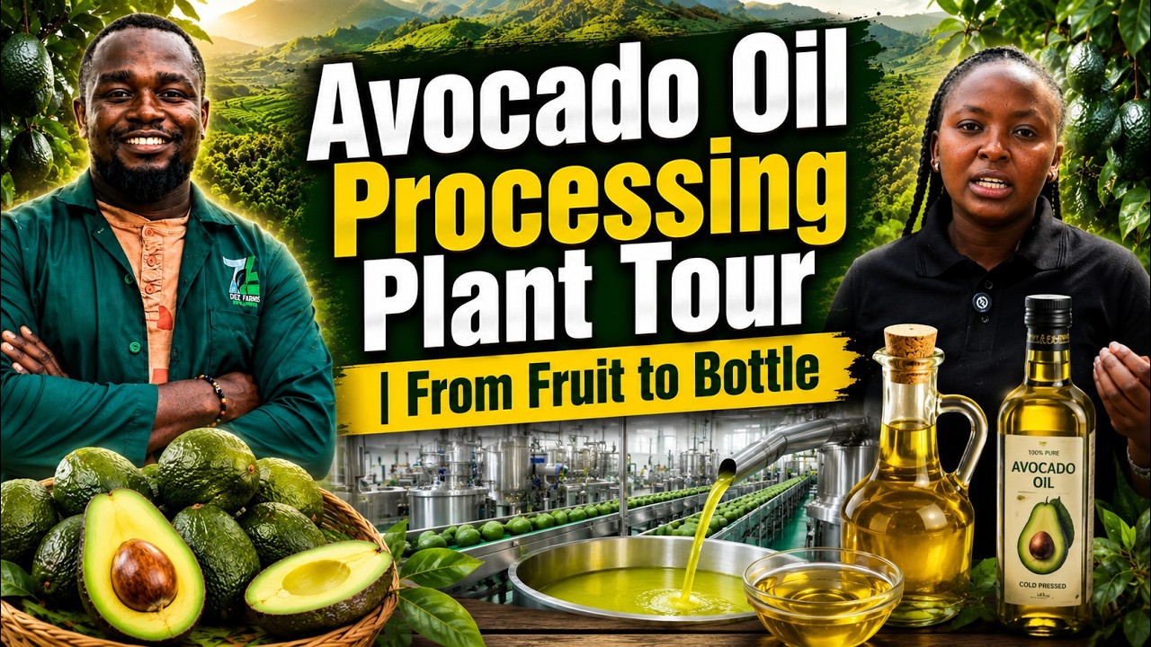 Latest Title & Thumbnail