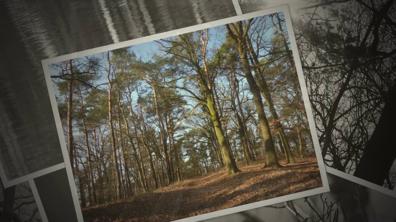 Teufelssee - Berlin (Fotodiashow)