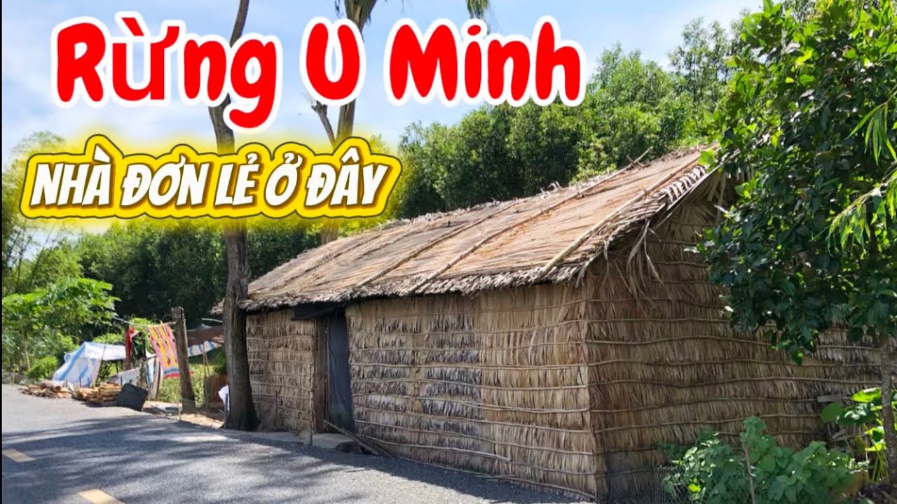 Đi Từ Kinh 4 Thước Xã Thạnh Yên ,Về Rừng Quốc Gia U MINH THƯỢNG | Xem Rừng Tràm Người Dân Cuộc Sống 