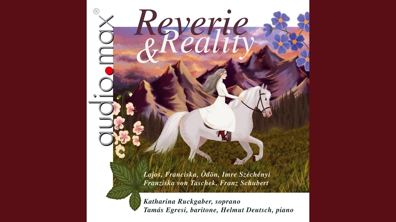 Lieder, D515: Der Flug der Zeit