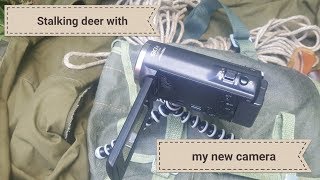 Stalking deer with my new camera