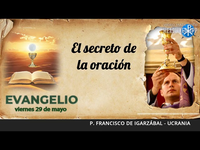 Evangelio Diario 6 Evangelio de hoy, 29 de mayo de 2026 | El secreto de la oración